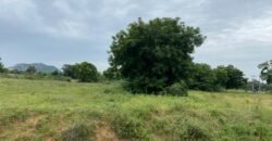 Open Land for Sale