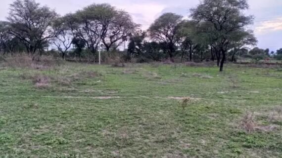 Open Land for Sale in Medchal | Hyderabad